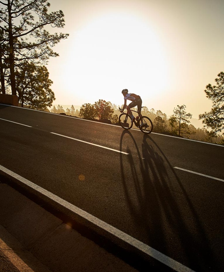 Trek Emonda available at Global Bikes Arizona