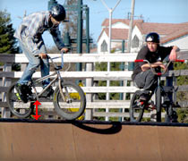 Chandler Bike Shops