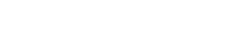 Giant Trance X Advanced E+ Elite | FULL POWER. LESS WEIGHT.