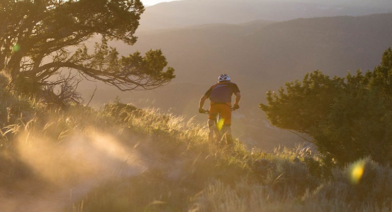 Mountain biker trail riding.