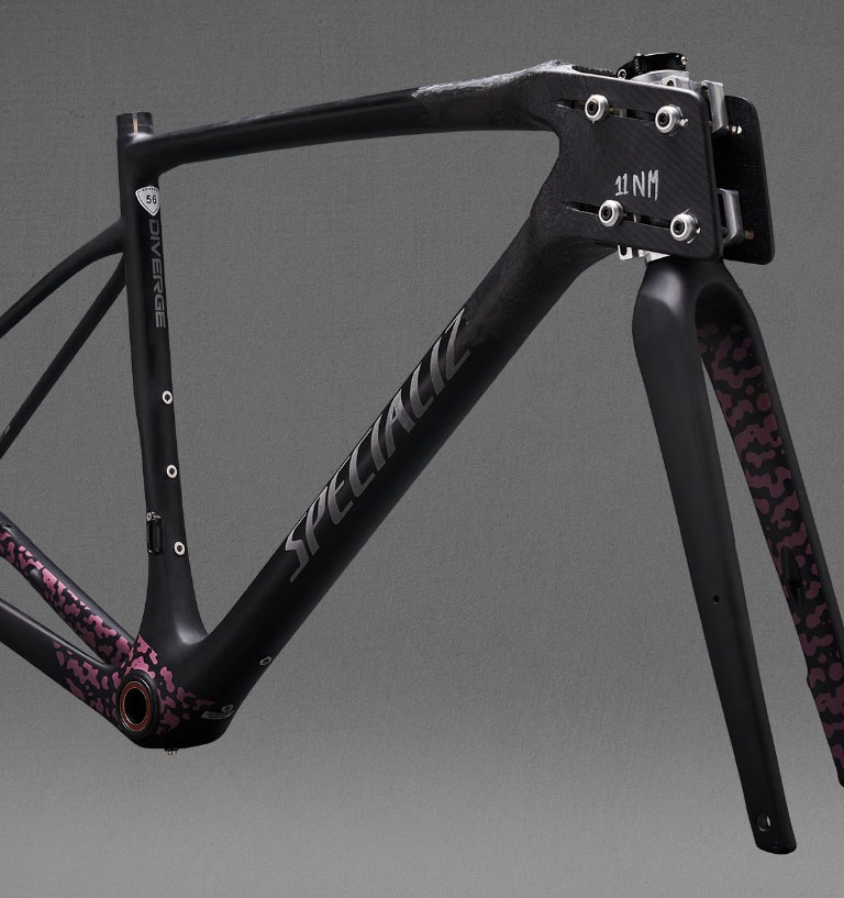 Specialized frame