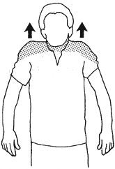 6: Stretching the shoulders and neck