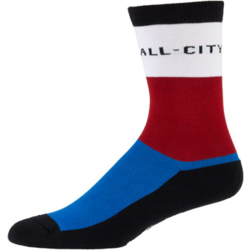 All-City Parthenon Party Sock
