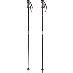 Evo Ski Pole Size Chart