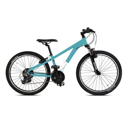 Batch Bicycles The Youth 24-inch Mountain Bike