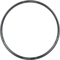 Bontrager Paradigm Elite 25 Disc Rim