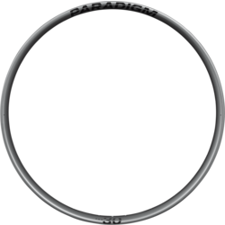 Bontrager Paradigm Pro 30 Rim