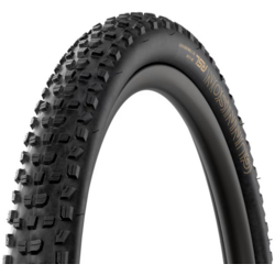 Bontrager Gunnison RSL XT TLR MTB Tire
