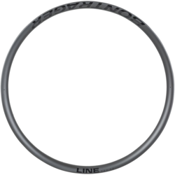 Bontrager Line Pro 30 TLR 29? Rim