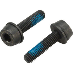 Campagnolo Campagnolo H11 Disc Caliper Mounting Screws, 2x19mm, for 10-14mm Rear Mount Thickness