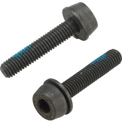 Campagnolo Campagnolo H11 Disc Caliper Mounting Screws, 2x24mm, for 15-19mm Rear Mount Thickness