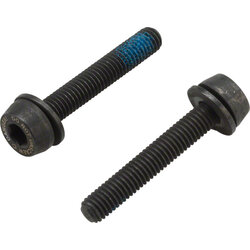 Campagnolo Campagnolo H11 Disc Caliper Mounting Screws, 2x29mm, for 20-24mm Rear Mount Thickness