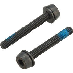 Campagnolo Campagnolo H11 Disc Caliper Mounting Screws, 2x34mm, for 25-29mm Rear Mount Thickness