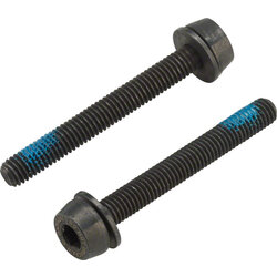 Campagnolo Campagnolo H11 Disc Caliper Mounting Screws, 2x39mm, for 30-34mm Rear Mount Thickness
