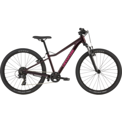 Cannondale Trail 24