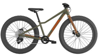 Cannondale Kids Trail Plus 24