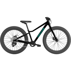 Cannondale Trail Plus 24