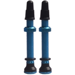 Evo Tubeless Valves