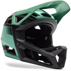 Fox Racing Proframe RS Sol Helmet