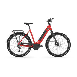 Gazelle Bikes Ultimate T10 Low-Step (+$15 Call2Recycle Battery Fee)