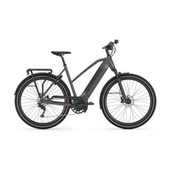 Gazelle Bikes Ultimate T10+ Mid-Step (+$15 Call2Recycle Battery Fee)