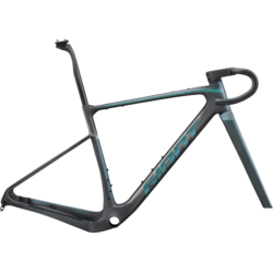 Giant Revolt Advanced SL Frameset