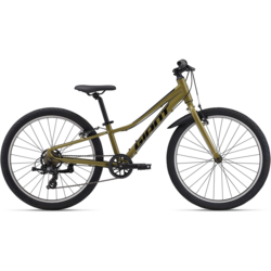 Giant - Wheel World Bike Shops - Road Bikes, Mountain Bikes