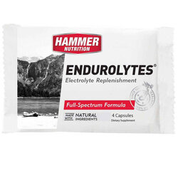 Hammer Nutrition Endurolytes Capsules