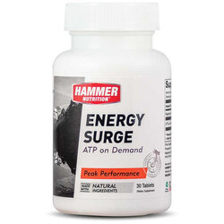 Hammer Nutrition Energy Surge