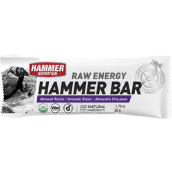 Hammer Nutrition Hammer Bar (1-Count)