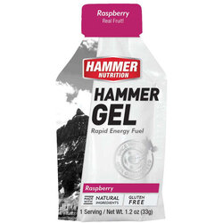Hammer Nutrition Hammer Gel