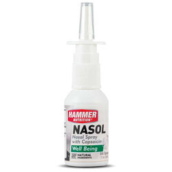 Hammer Nutrition Nasol