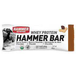 Hammer Nutrition Whey Protein Bar (12-pack)