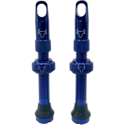 Hold Fast Cycling Tubeless Valve Stem, 42mm (Pair)