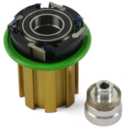 Hope Pro 4 Freehub Assembly - Campagnolo