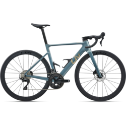 Liv EnviLiv Advanced 2
