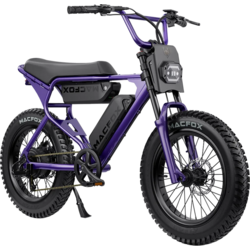 MACFOX X1S Commuter E-bike, Dual Battery