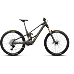Orbea Wild LT M10