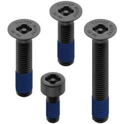 Quad Lock Anti-Theft Screw Kit