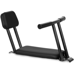 Radio Flyer Kid Carrier