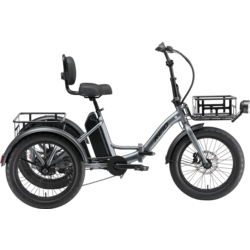 Reid E-Trike