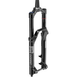 RockShox Domain Gold C1