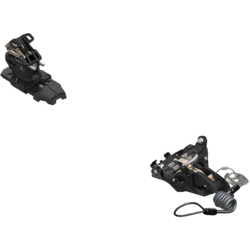 Salomon MTN Summit 9 (and Leash)