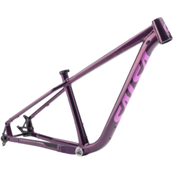 Salsa Timberjack Frame