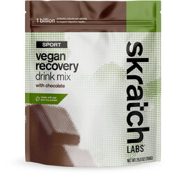 Skratch Labs Sport Vegan Recovery Drink Mix - Chocolate