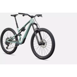 Specialized Stumpjumper 15 EVO Expert