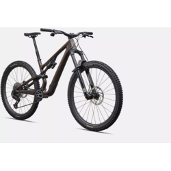 Specialized Stumpjumper 15 EVO Pro