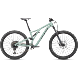 Specialized Stumpjumper Alloy (5/21)