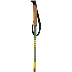 Swix I2 Touring Pole