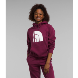The North Face Jumbo Half Dome Pullover Hoodie